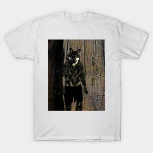 Loup Garou in the Swamp T-Shirt